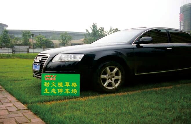 停車(chē)場(chǎng)植草格 停車(chē)場(chǎng)植草格